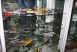 foto 32