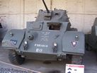 Staghound