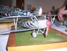 Albatros D-III