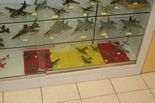 showtafel