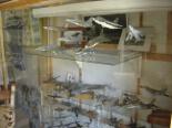 showtafel