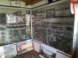 showtafel